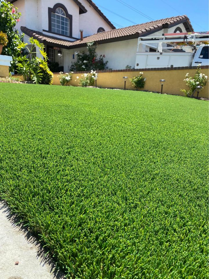 A close-up view of a well-manicured lawn with lush green grass in front of a suburban house, bordered by a yellow wall, plants, and flowers, under a clear blue sky.